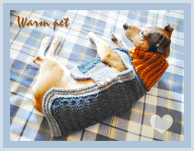 Pets Cloths 01