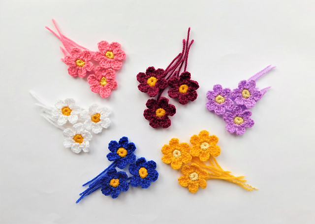 Primulas