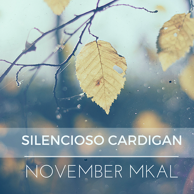 Silencioso Cardigan |MKAL