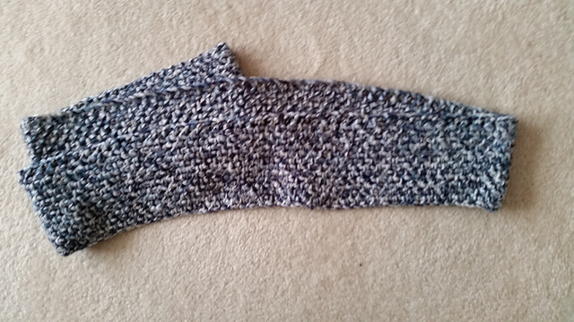 Baby Blue Jay Infinity Scarf