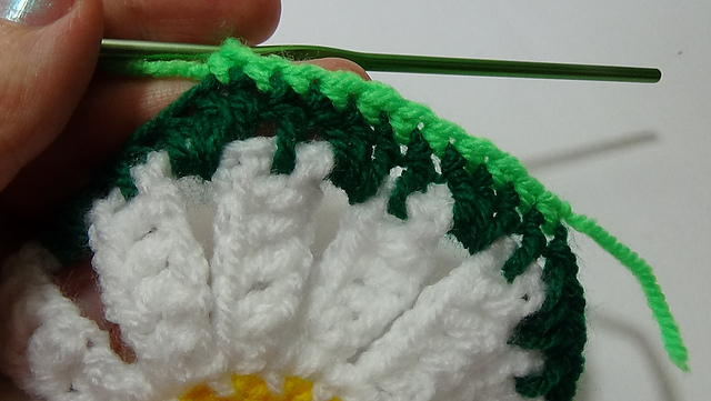 daisy flower coaster