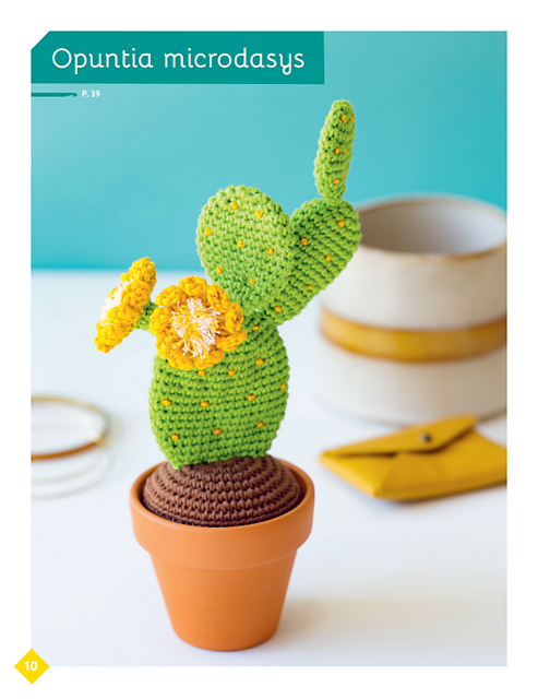 Opuntia microdasys