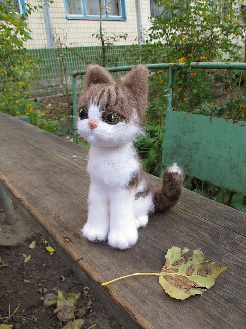Grey Cat alive