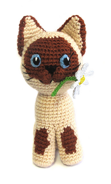 Guv the Siamese Kitten