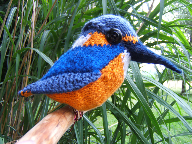 ijsvogel