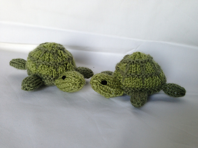 Giant Tortoises
