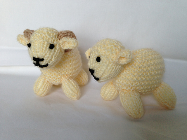 Sheep
