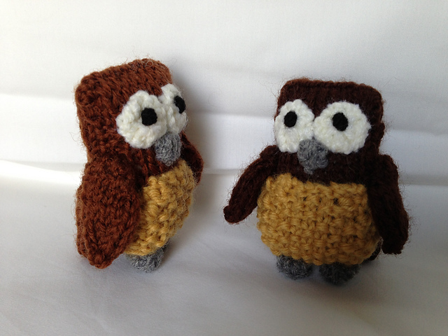 Owl