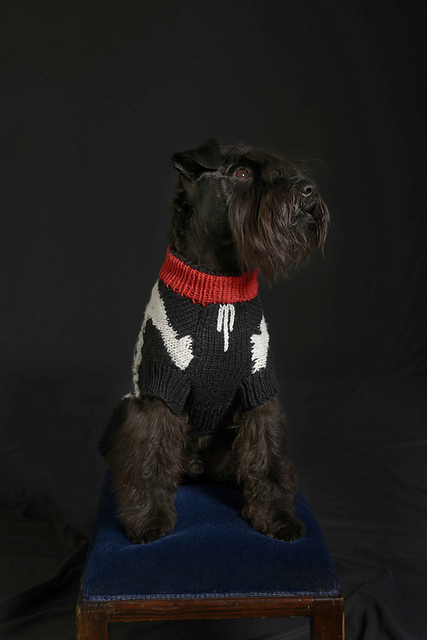 Skeledog