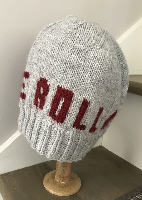 Logo Team Hat