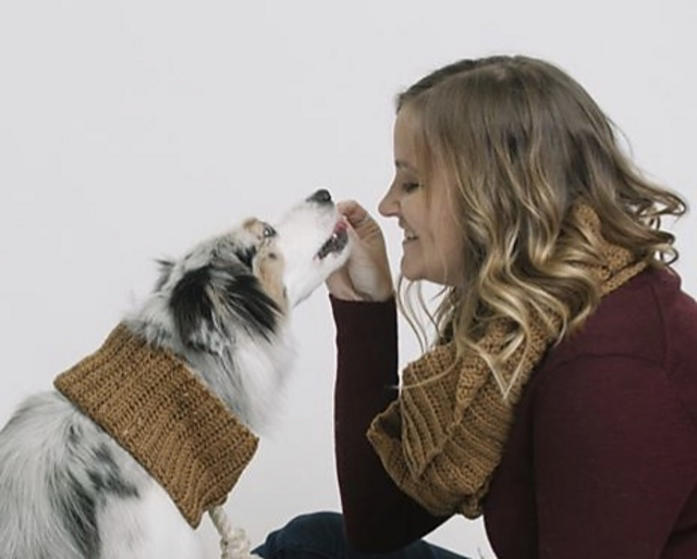 Adventure Dog Cowl