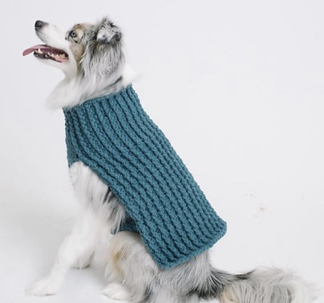 Bleu Dog Sweater