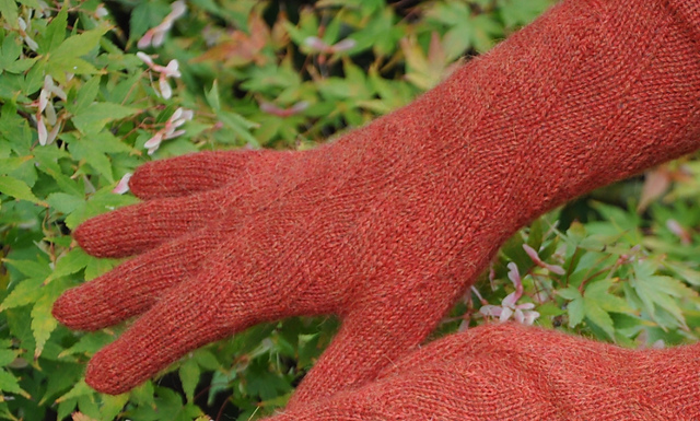 Bertie Fingerhandschuhe