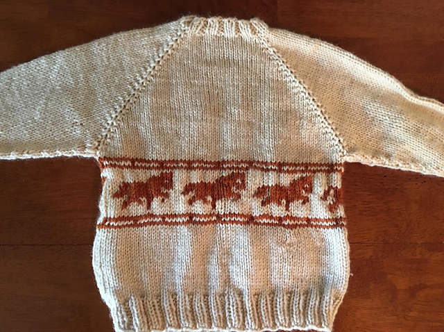 Top Down Raglan Pony Sweater