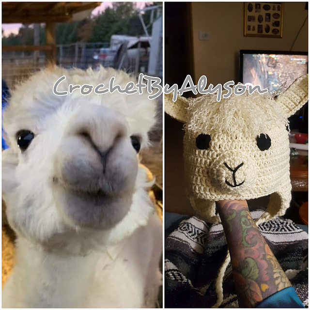 Alpaca Hat