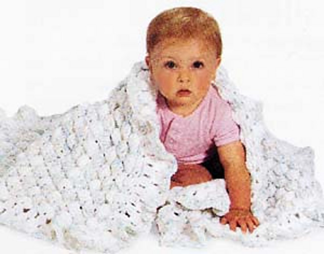Reversible Shell Blanket / Carriage Cover