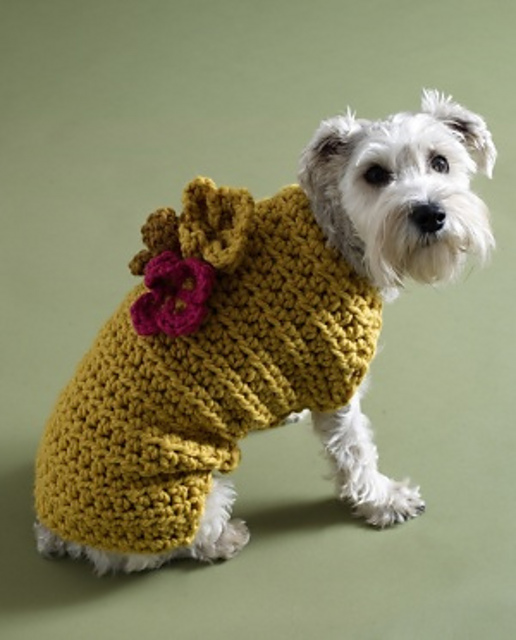 Flower Garden Dog Sweater