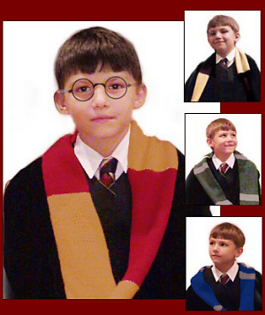 Harry Potter Wizard Scarf (crochet)