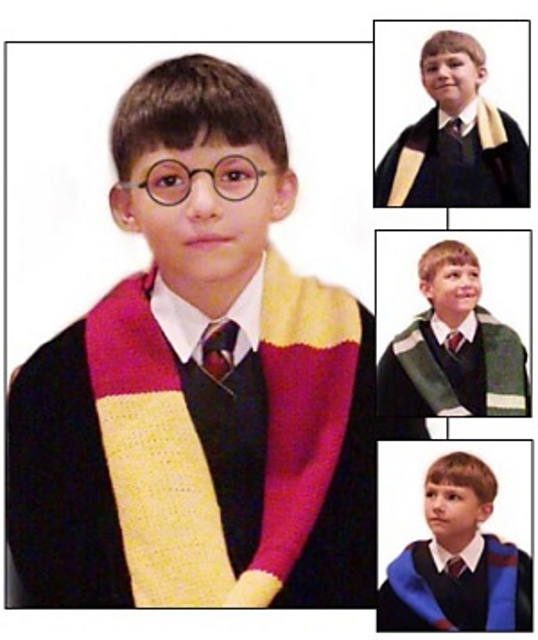 Harry Potter Wizard Scarf (knit)