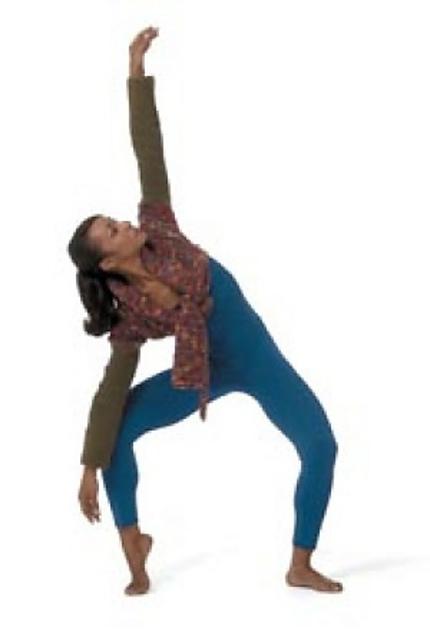 Wrap Artist Shrug