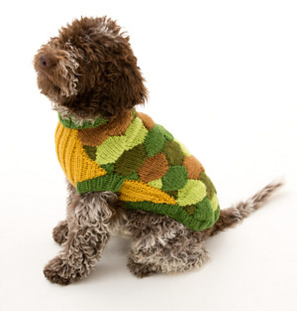 Turtle Dog Costume
