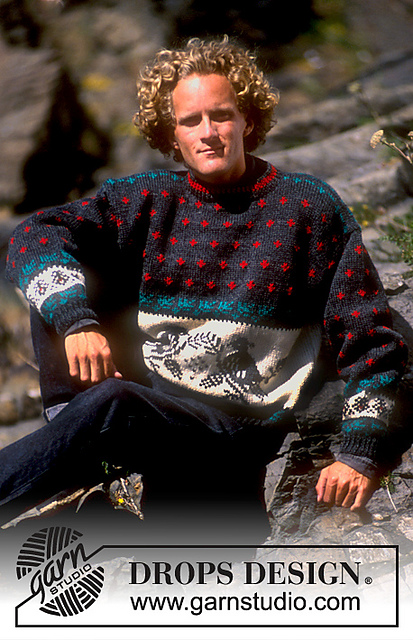 20-6 jumper with dove pattern