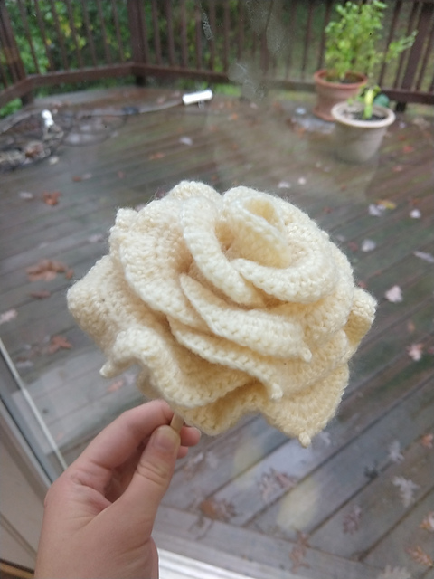 Big Thai Rose