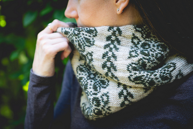 Under the Ivy Cowl
