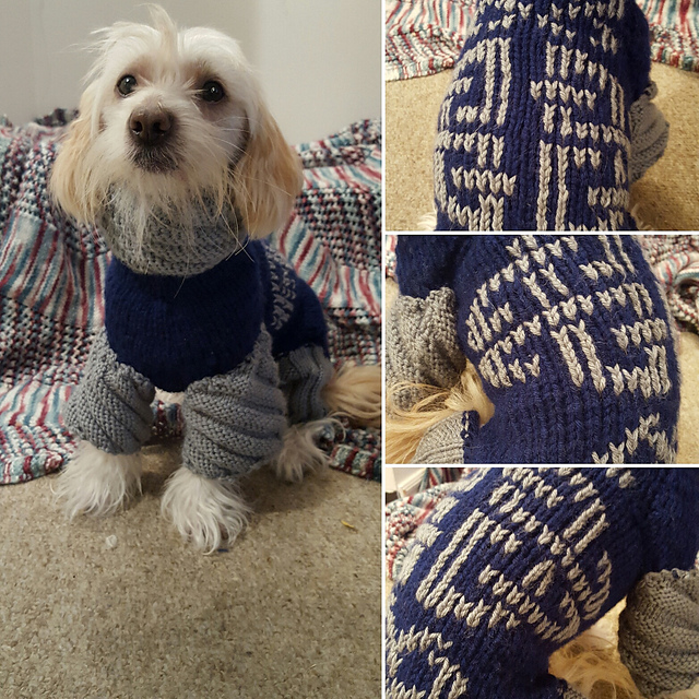 Issy's Winter Shirt