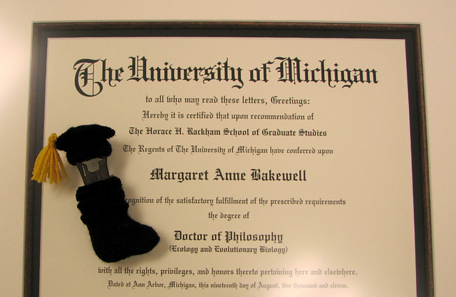 Wee Tiny Graduation Sock