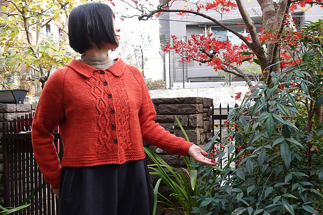Iroha Cardi