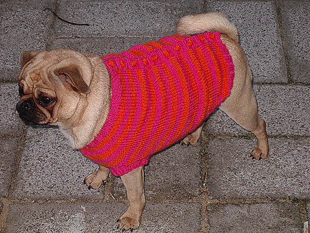 Doubles & Duo: Dog Coat