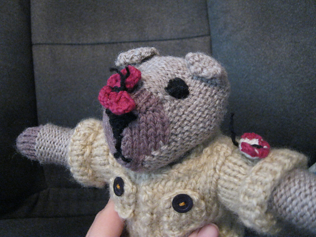 Safari Bear