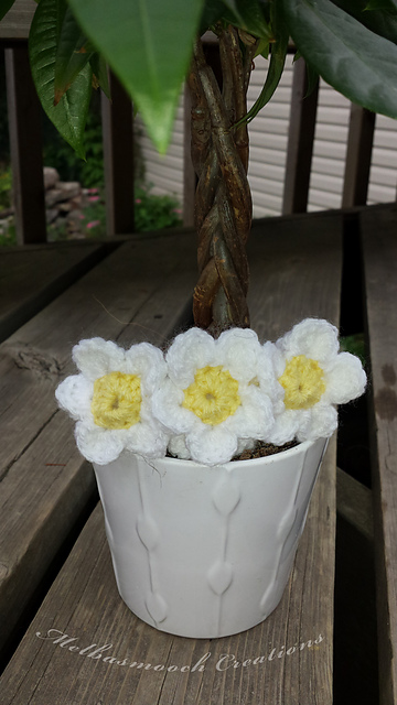Daisy Bangle