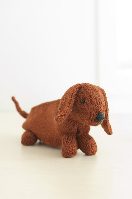 Daisy Dachshund