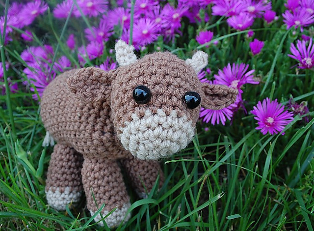 Sweet Little Cow