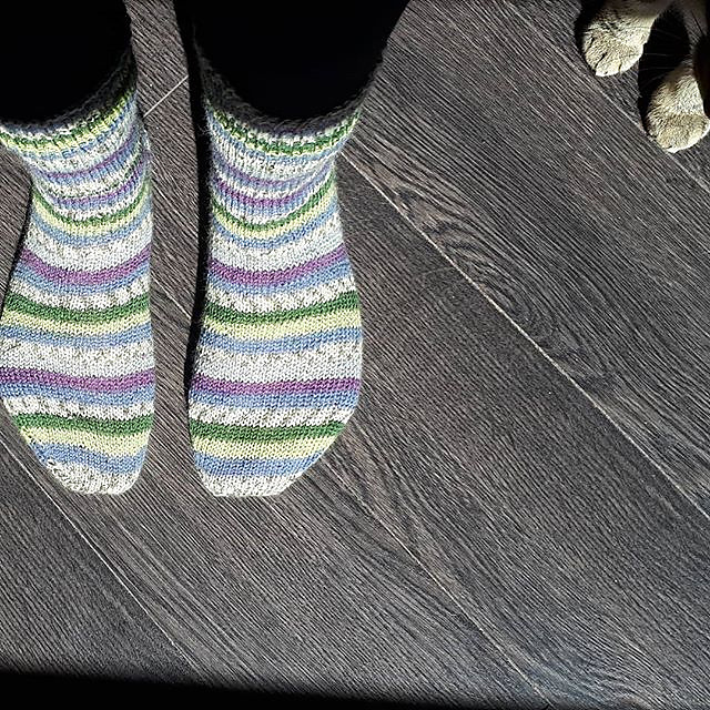 Basic Toe-Up Socks