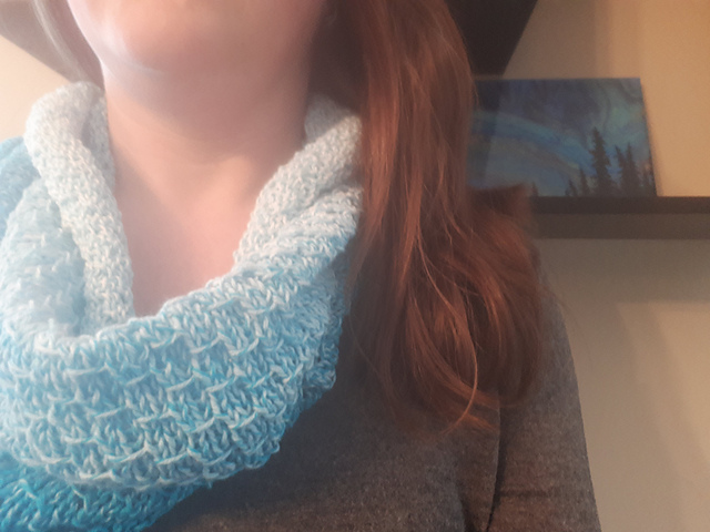 Elm Seed Stitch Cowl