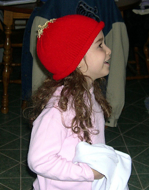 Christmas Ornament Hat