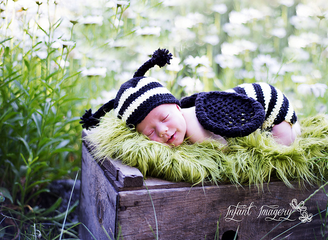Buzzy Bumble Baby Set