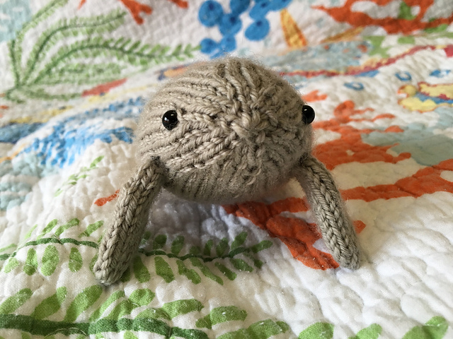 Not Your Average Mister Manatee