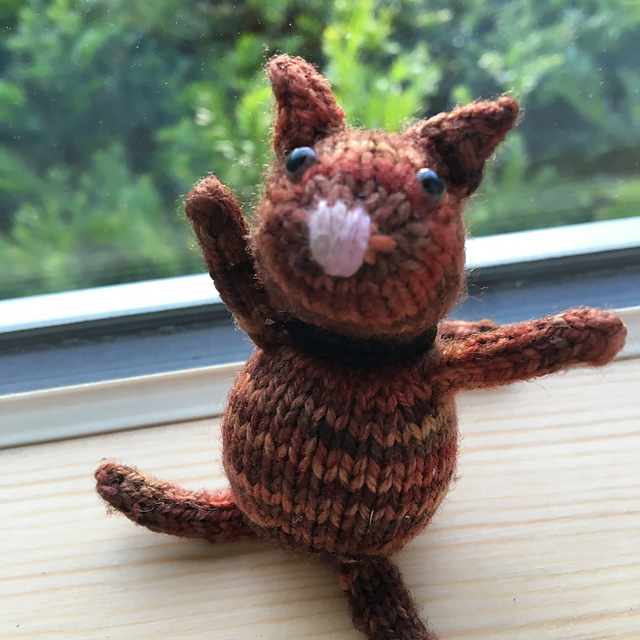 Cinnamon the Sock Cat