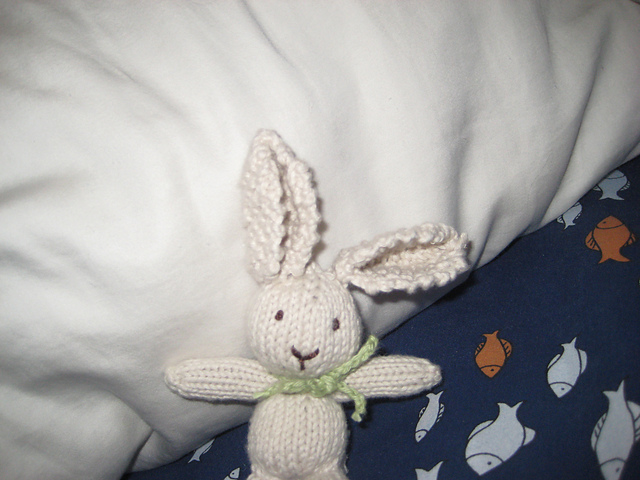 Cherry the bunny