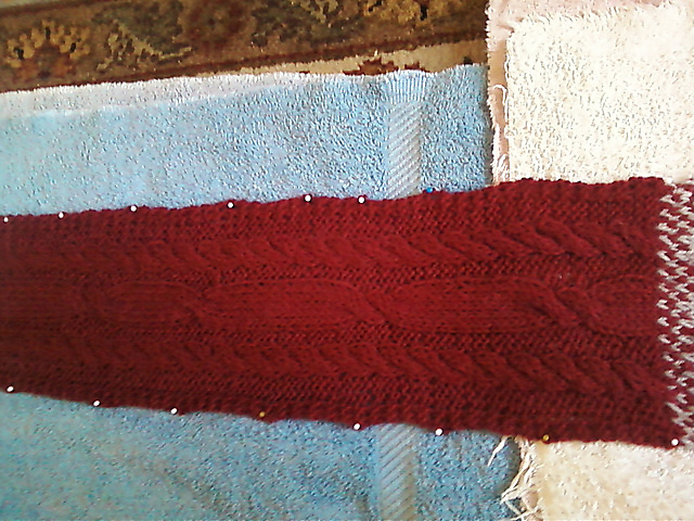 Cozy Winter Scarf (or Cowl)