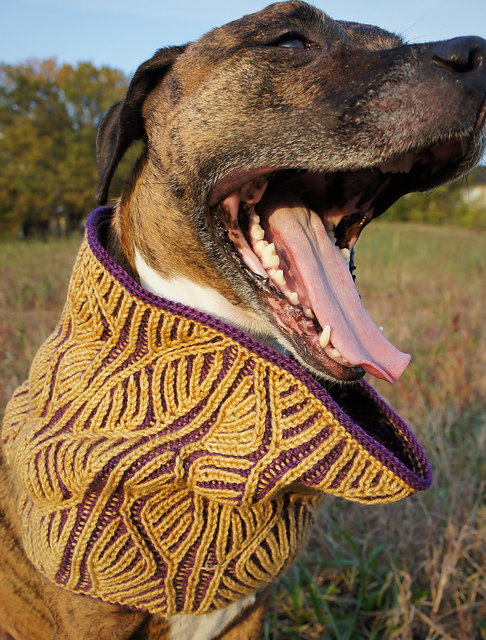Rhoda Brioche Cowl