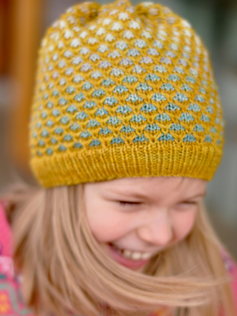 Honey Drudger Hat