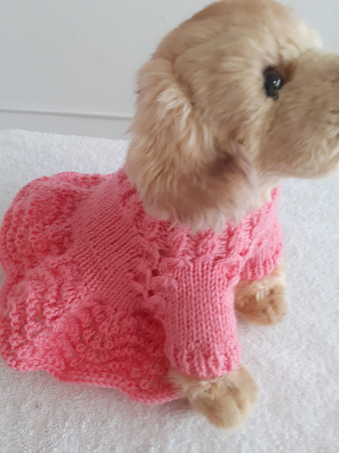 Candy Diva Dog Coat