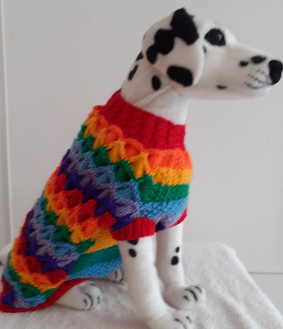 Rainbow Accordian Dog Coat