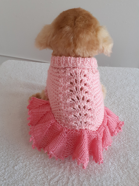 Ice Cream Diva Dog Coat Dress