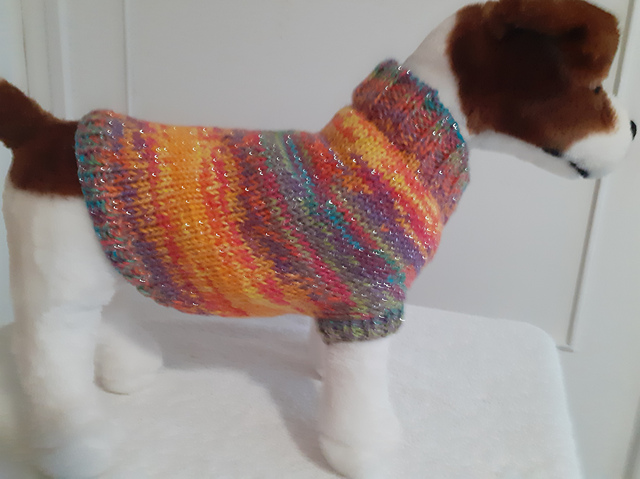 Sunset Glory Dog Coat